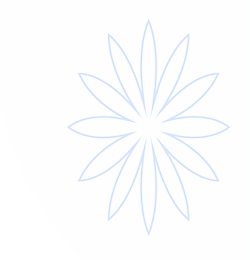 开云Kaiyun.官方门户网站
